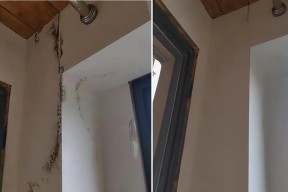 冰箱胶条发霉了怎么办？有效清洗方法有哪些？