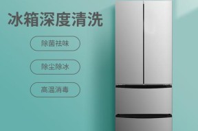 全面指南（保持食品安全和延长冰箱寿命的关键步骤）