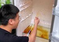 冰箱冷藏室排水孔堵塞怎么疏通（掌握正确方法）