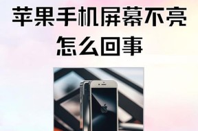 解决电源显示器不亮问题的常见原因（探索电源显示器无法亮起的症结所在）