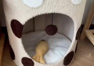数据线如何用于训练猫咪？