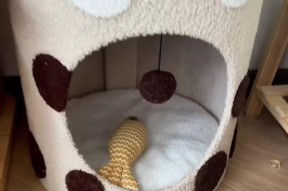 数据线如何用于训练猫咪？