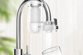 净水器抽不到水，原因究竟是什么（深入探讨净水器失去抽水功能的可能原因与解决方案）
