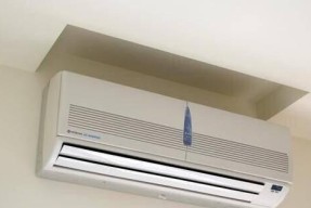 冬天空调启动不起来的原因及解决方法（寒冷冬季空调无法启动）