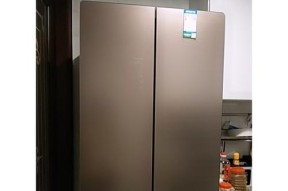 开门冰箱出现E5故障原因及维修方法（探究开门冰箱出现E5故障的原因）