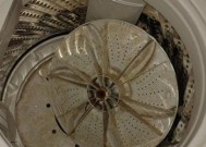 全面指南（洗衣机清洗）