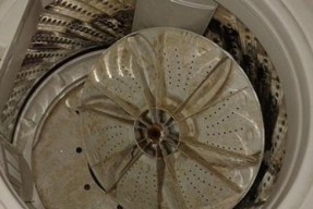 全面指南（洗衣机清洗）