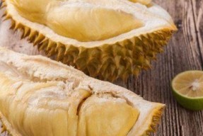 榴莲之谜（探索榴莲价格背后的原因及市场影响力）