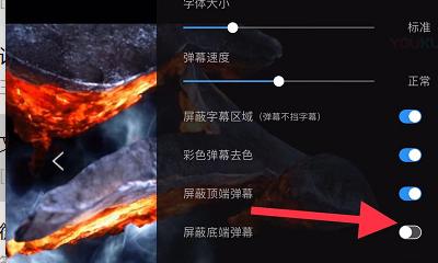 优酷错误代码11010的处理方法（解决优酷错误代码11010的有效技巧）  第1张