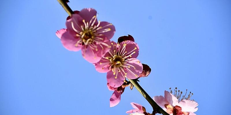 如何从安卓手机安全模式中恢复到正常模式（通过简单操作）  第1张