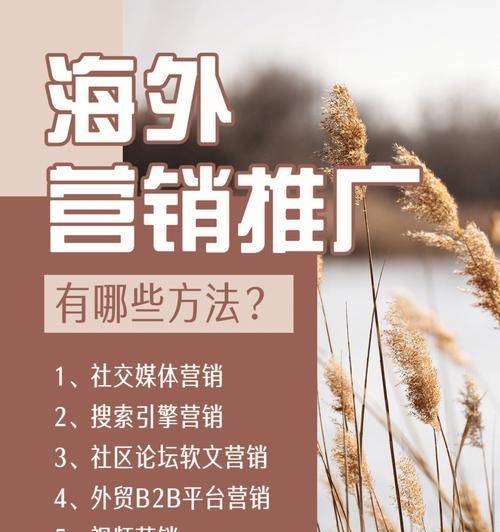 海外网络推广的方法及策略（探索海外市场）  第1张