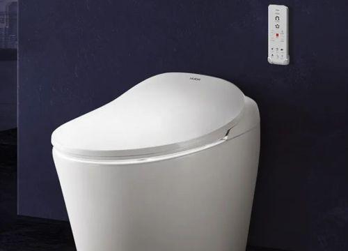 如何选择合适的马桶品牌（从功能到质量）  第1张