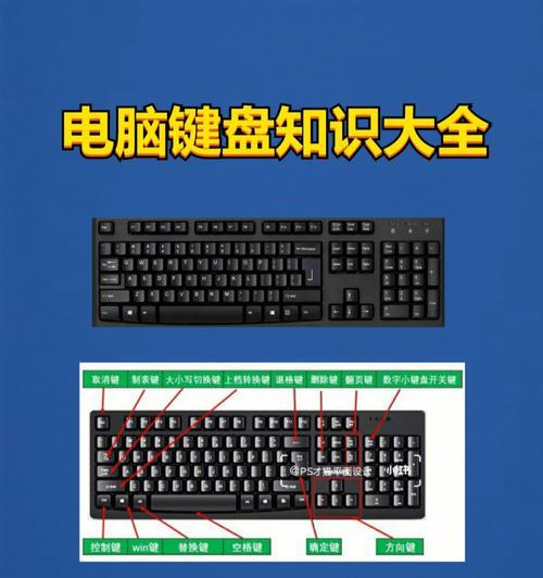 键盘失灵之后，按下这个键可轻松解决问题（电脑键盘不能打字了）  第1张