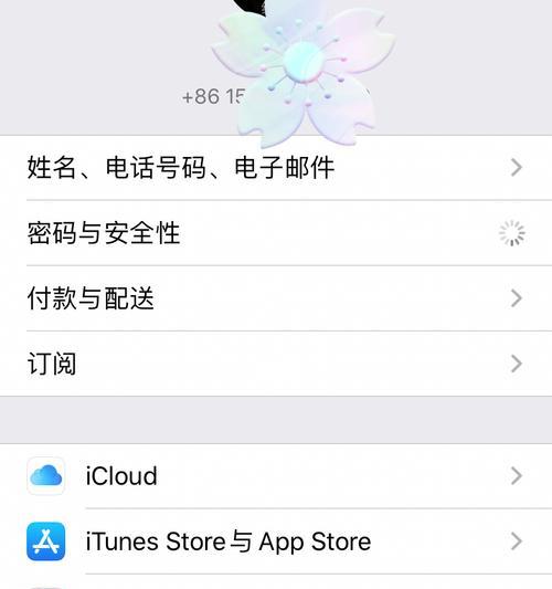 苹果手机能打电话却无法上网的解决方法（一步步帮你解决苹果手机无法上网的困扰）  第1张