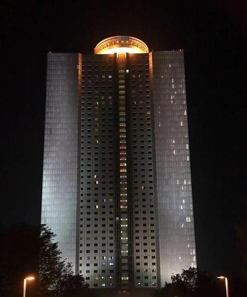 决明子掉进洗衣机，急救小技巧大公开（如何迅速处理决明子掉进洗衣机的突发情况）  第1张