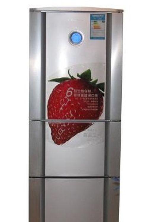 解决伊莱克斯冰箱门关不紧的小妙招（教你轻松解决伊莱克斯冰箱门关不紧的困扰）  第1张