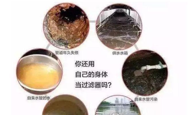 饮水机出现小虫的原因及处理方法（揭秘饮水机小虫的成因和解决之道）  第2张