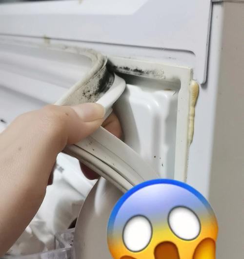 冰箱密封条发霉的原因及清洁方法（解决冰箱密封条发霉问题的有效措施）  第3张