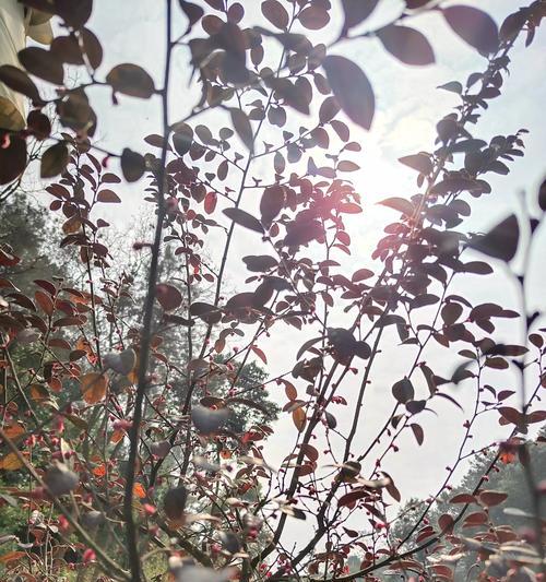 探寻卡莎帝空调E2故障的真相（了解E2故障含义及有效的维修方法）  第1张