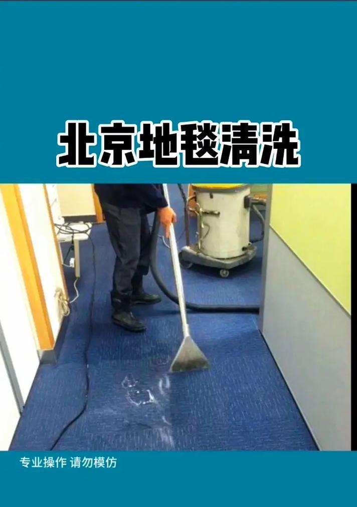 地毯清洗技巧与方法（如何彻底清洁你的地毯-）  第1张