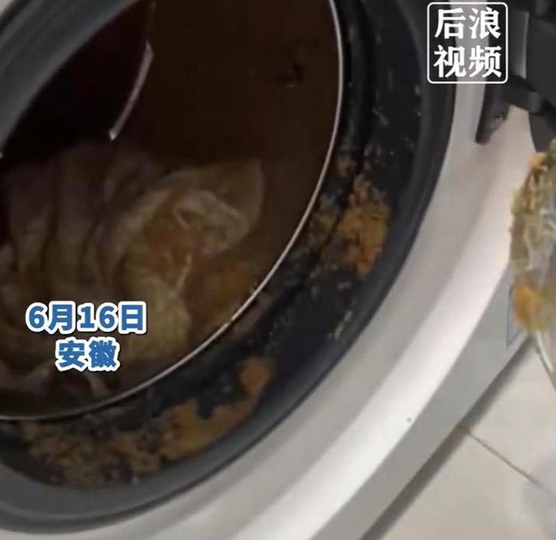 枕芯可以用洗衣机洗吗？正确清洗枕芯的方法是什么？  第2张