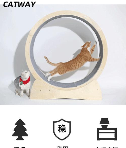 猫跑步机脱轨了怎么处理？如何预防再次发生？  第3张