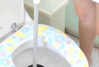 马桶堵了通不了怎么办？快速解决方法有哪些？  第1张
