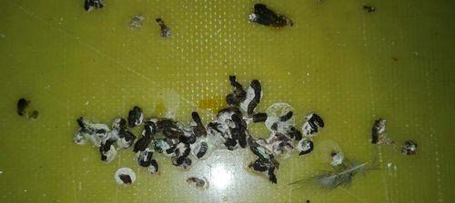 空调外机发出嗡嗡声是故障吗？如何判断是否正常工作？  第1张