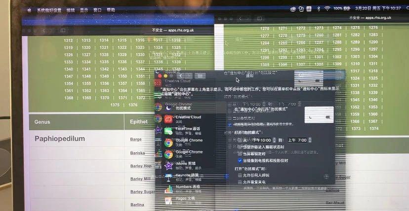 显示器轻微闪屏什么原因？如何快速诊断和解决？  第1张