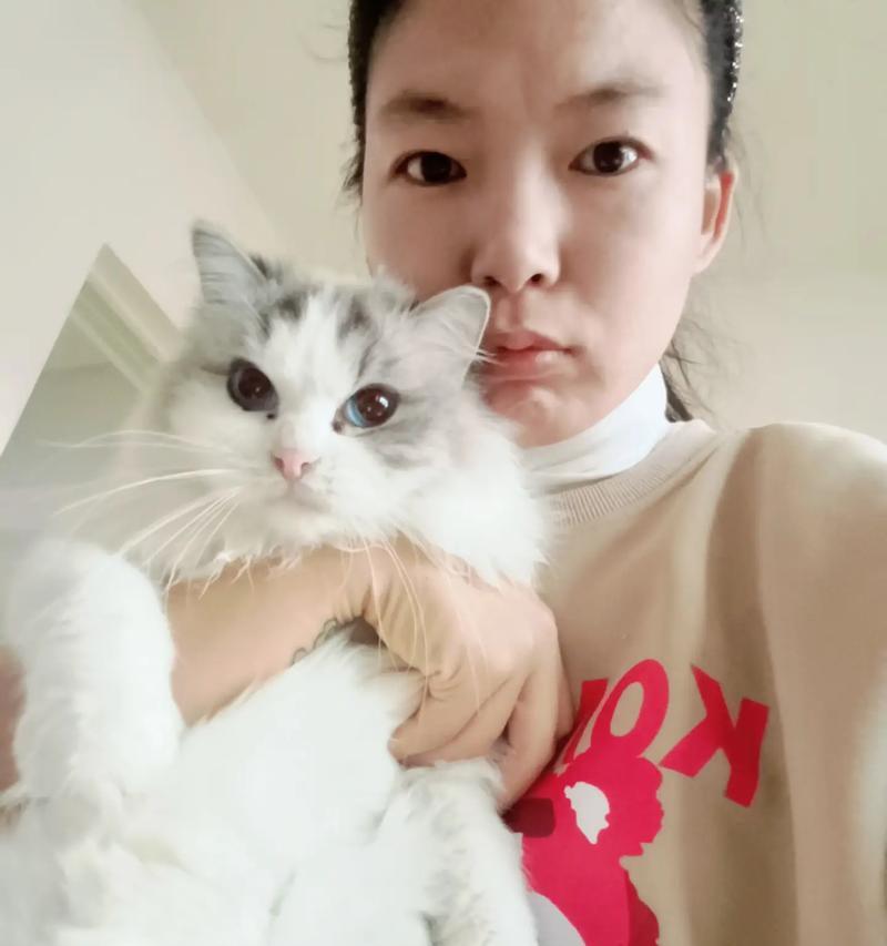 手机拍照捕捉原相机下的小猫技巧有哪些？  第3张