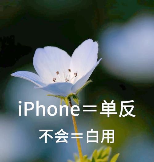 手机竖置拍照设置方法是什么？  第2张