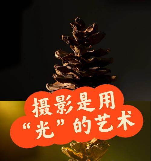 拍摄眼睛时如何正确打灯？相机镜头使用技巧是什么？  第2张