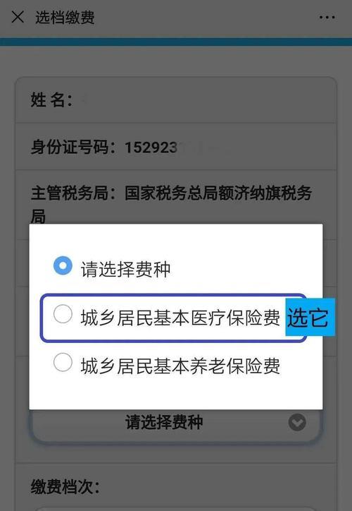 苹果手机如何进行医疗费用的缴纳？  第2张