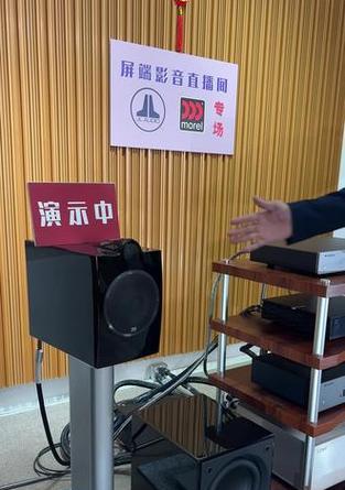 带低音炮的书架箱叫什么？如何选择带低音炮的书架箱？  第2张