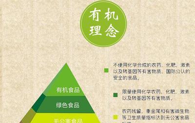 海滨煤气热水器的正确使用方法是什么？有哪些注意事项？  第2张