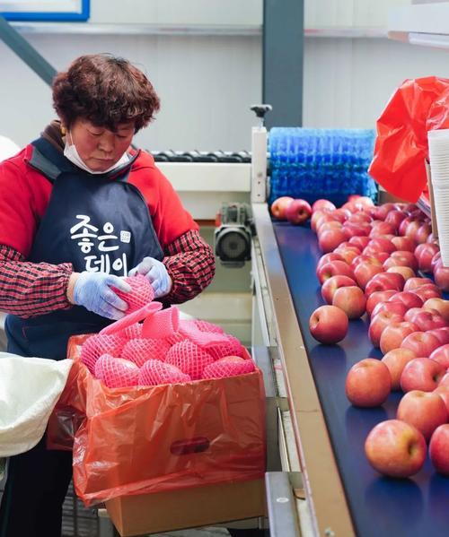 苹果手机在中国的生产工厂位置在哪里？  第3张