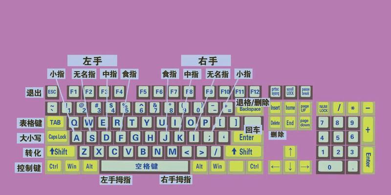 电脑练键盘打字是什么软件？哪个软件更适合初学者？  第3张