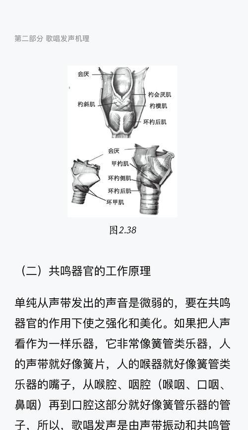 声音假声转换器的使用方法是什么？  第3张
