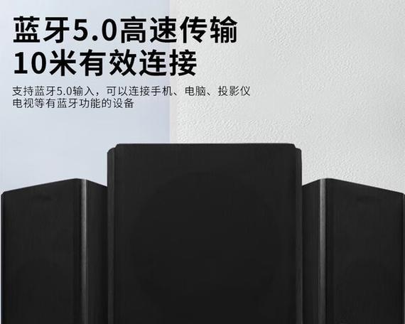 先科蓝牙音箱配话筒方法？兼容性如何？  第2张