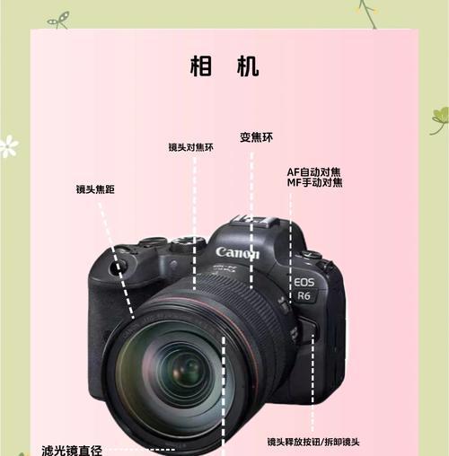 佳能相机霉斑怎么清除？清除方法是什么？  第1张