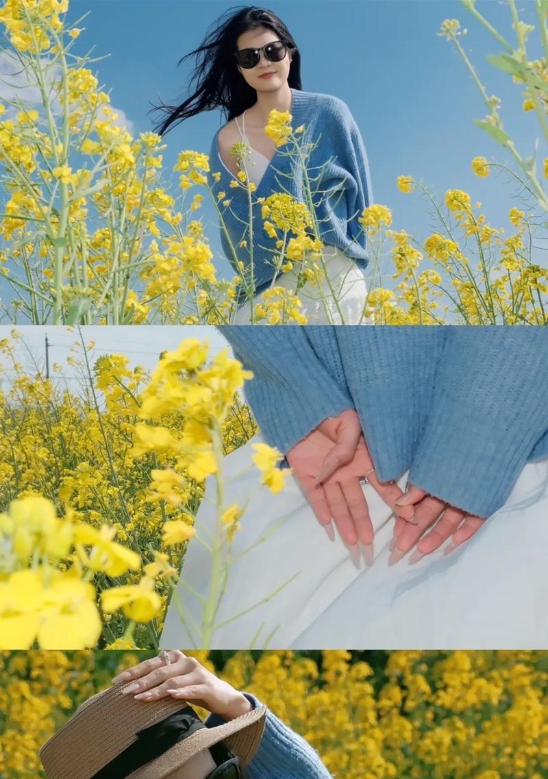 荣耀手机拍摄油菜花的技巧是什么？如何设置相机参数？  第1张