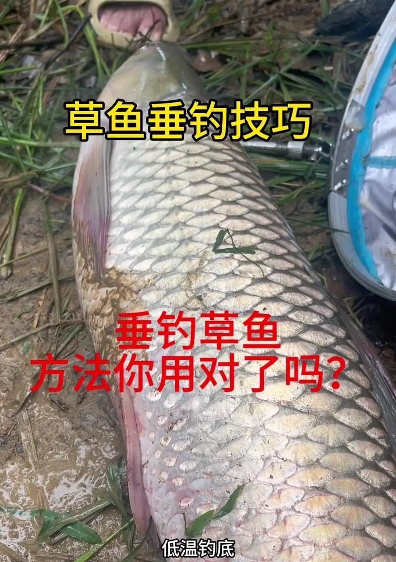 海钓模拟器人鱼怎么钓？钓法技巧是什么？  第2张