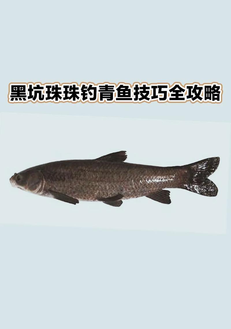 海钓模拟器人鱼怎么钓？钓法技巧是什么？  第3张