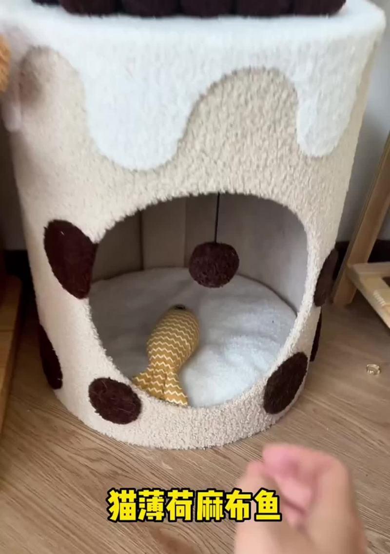 数据线如何用于训练猫咪？  第1张