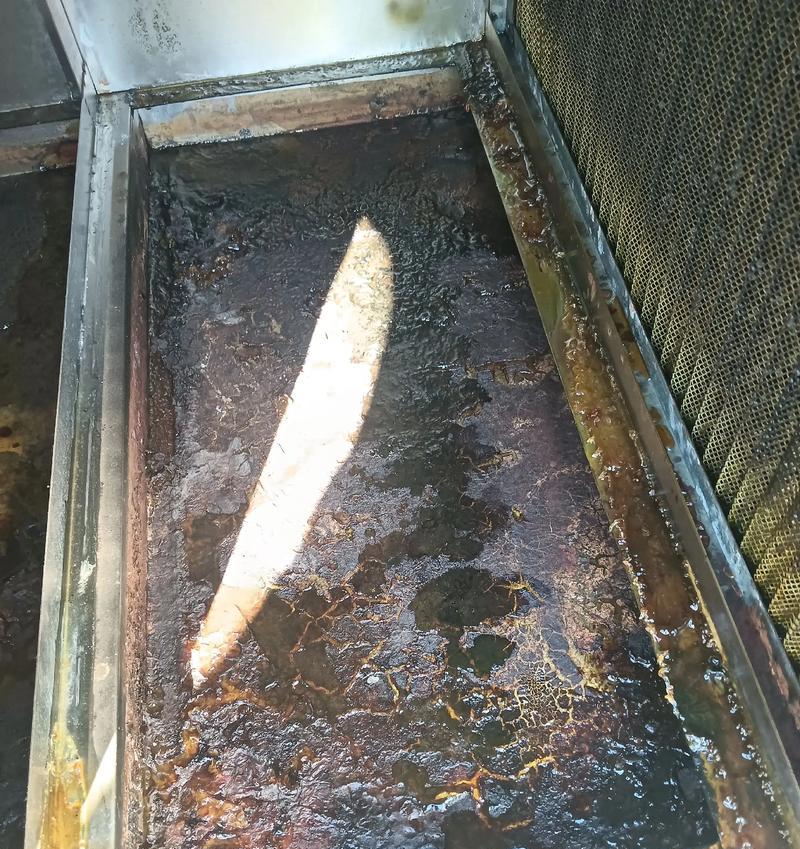 如何清洗油烟机网（简单易行的方法让你的油烟机网焕然一新）  第3张