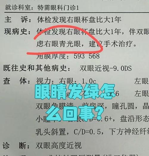解决电脑显示器绿屏或蓝屏问题的方法（教你一招搞定电脑显示屏绿屏或蓝屏的烦恼）  第1张