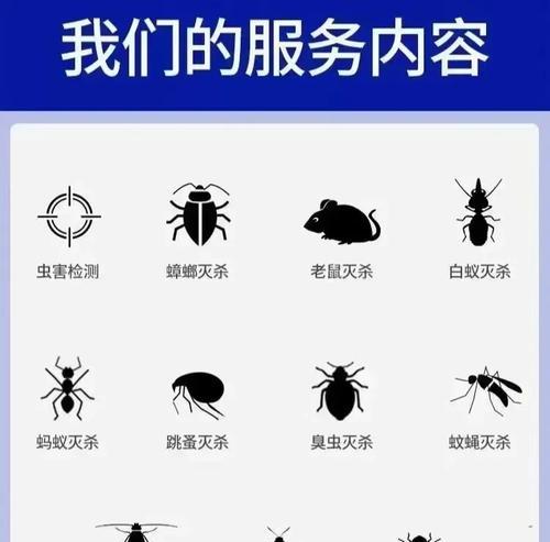 如何处理洗碗机背板有蟑螂的问题（有效清除洗碗机背板上的蟑螂）  第3张