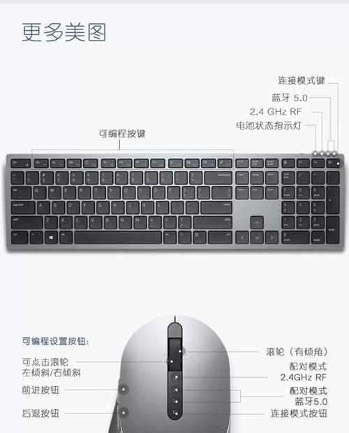 戴尔电脑连接外接键盘鼠标的方法是什么？操作步骤是怎样的？  第2张